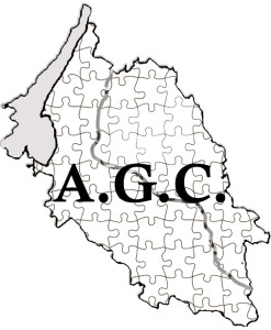 AGC_BN_300_600x700